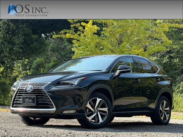 2017 Lexus NX