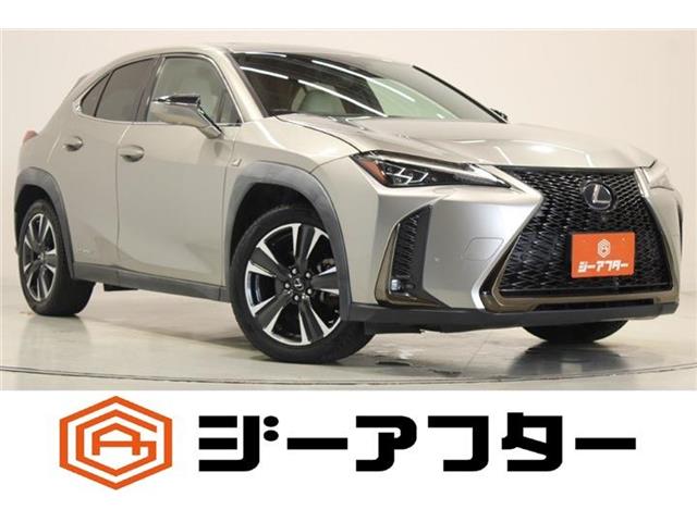 2019 Lexus UX