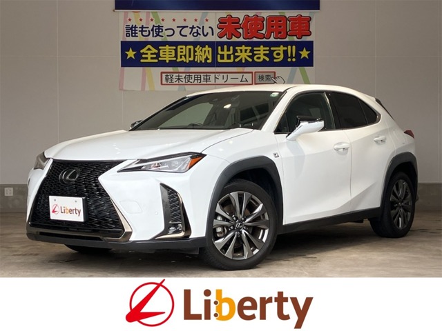 2019 Lexus UX