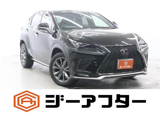 Lexus NX 1