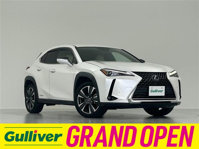 Lexus UX 1