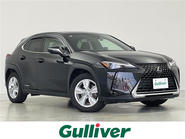 2019 Lexus UX