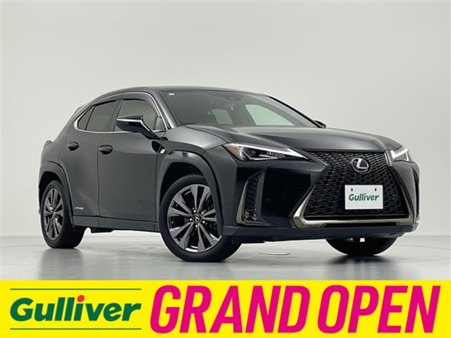 2021 Lexus UX
