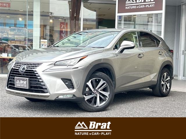Lexus NX 1