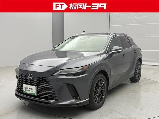 2024 Lexus RX