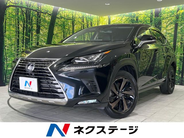 Lexus NX 1