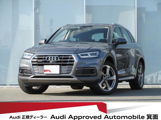 Audi Q5 1