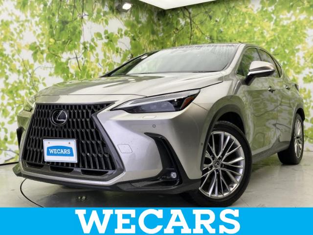 2022 Lexus NX