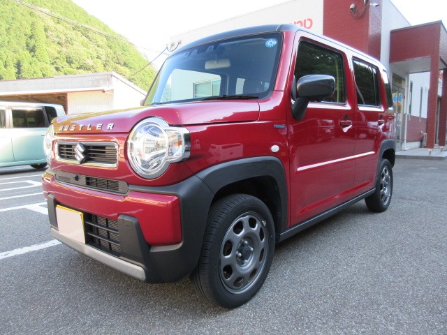 Suzuki Hustler 1