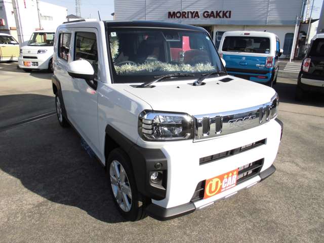 Daihatsu Taft 9