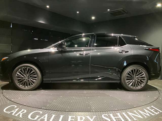 Lexus RZ 11
