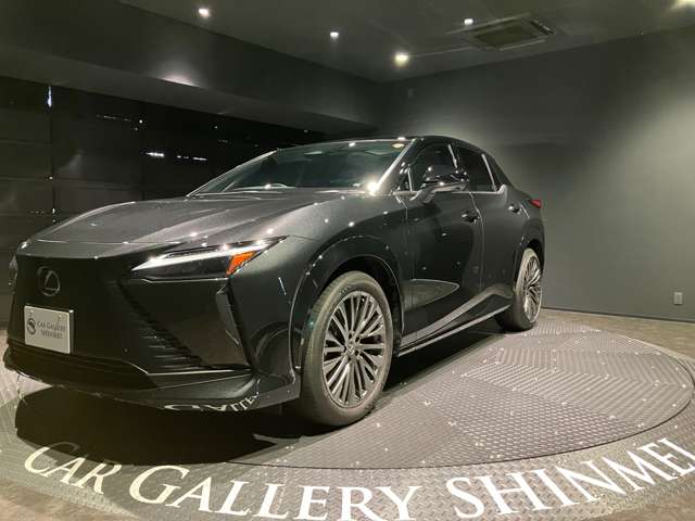 Lexus RZ 9