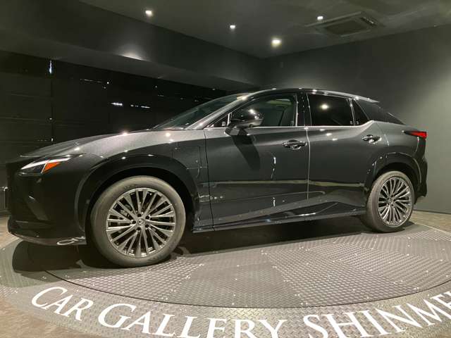 Lexus RZ 10