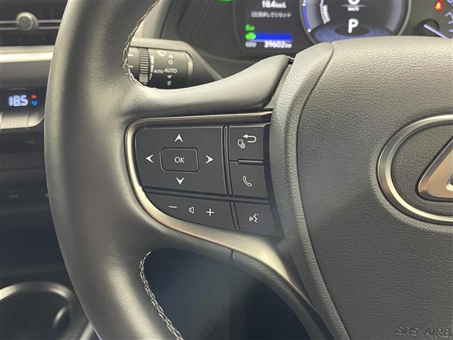 Lexus UX 11