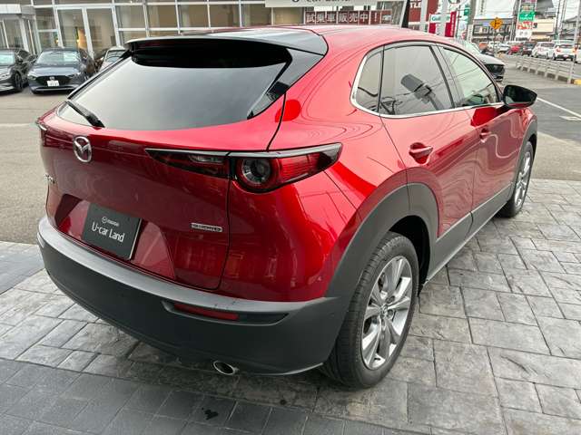 Mazda CX-30 11