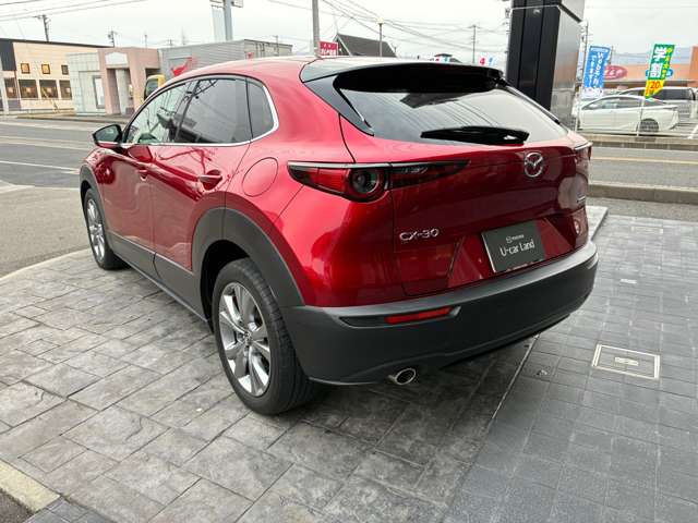 Mazda CX-30 9