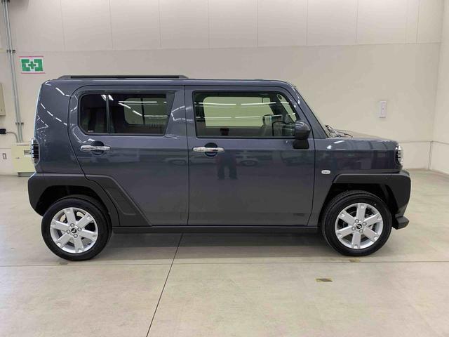 Daihatsu Taft 7