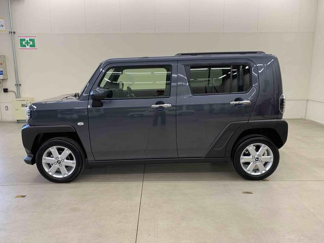 Daihatsu Taft 8