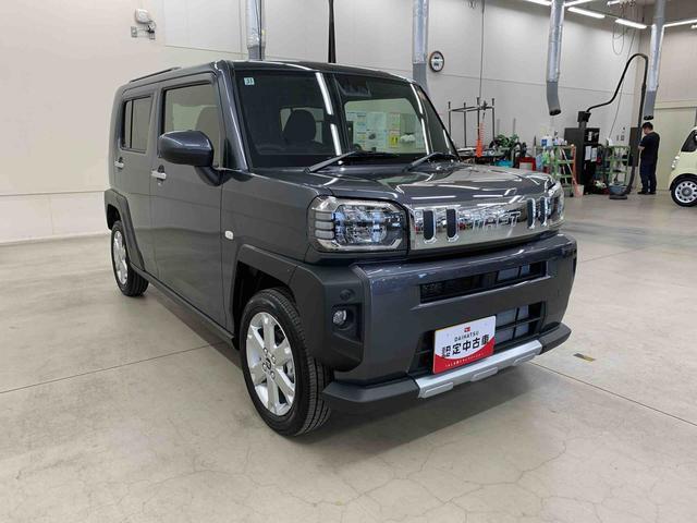 Daihatsu Taft 9
