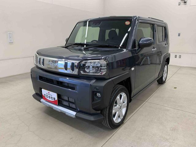 Daihatsu Taft 10