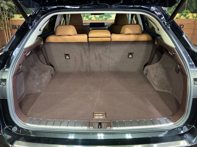Lexus RX 11