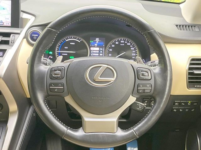 Lexus NX 11