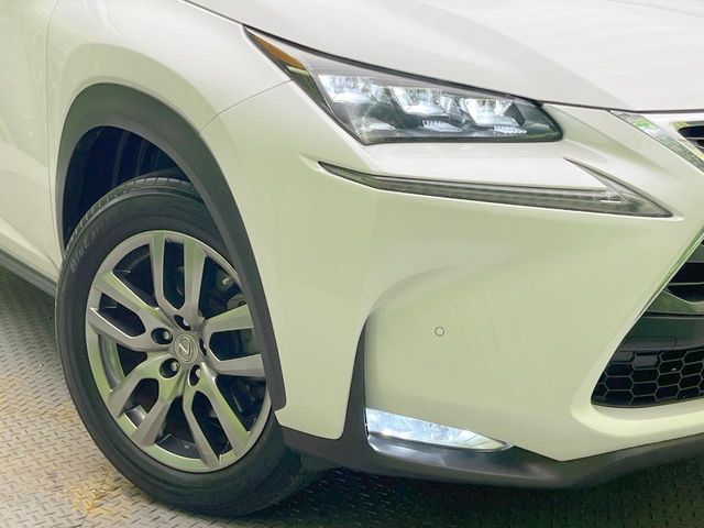 Lexus NX 12