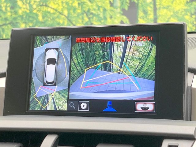Lexus NX 4
