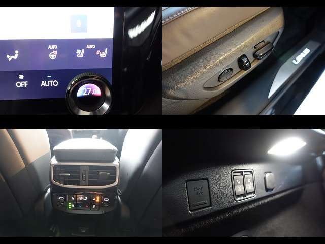Lexus RX 11
