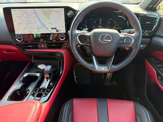 Lexus NX 11
