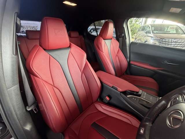 Lexus UX 10