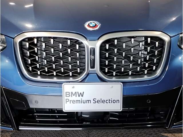 BMW X4 10