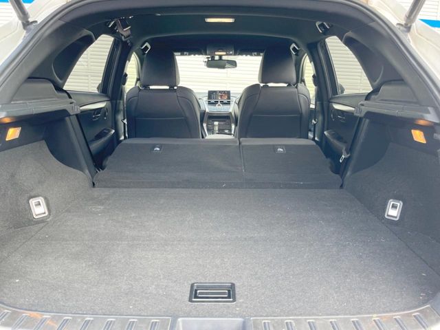 Lexus NX 10