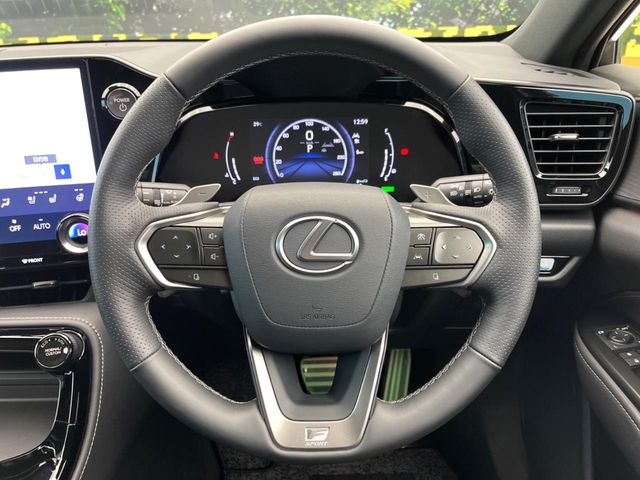 Lexus NX 11