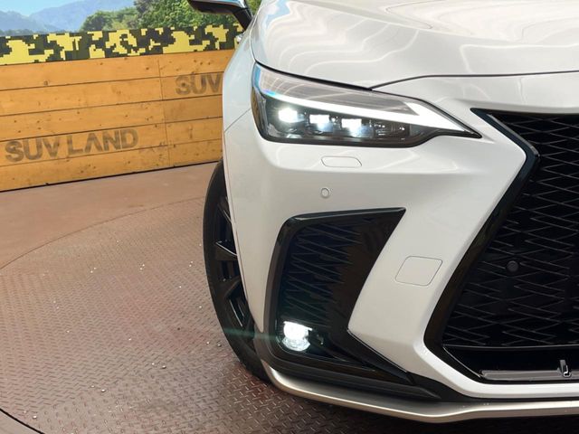 Lexus NX 12