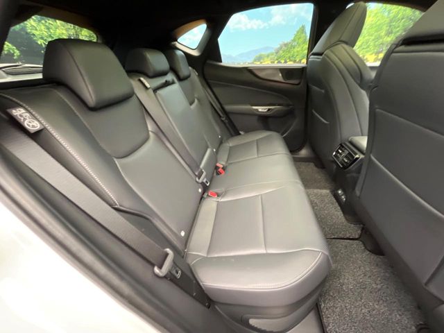 Lexus NX 9