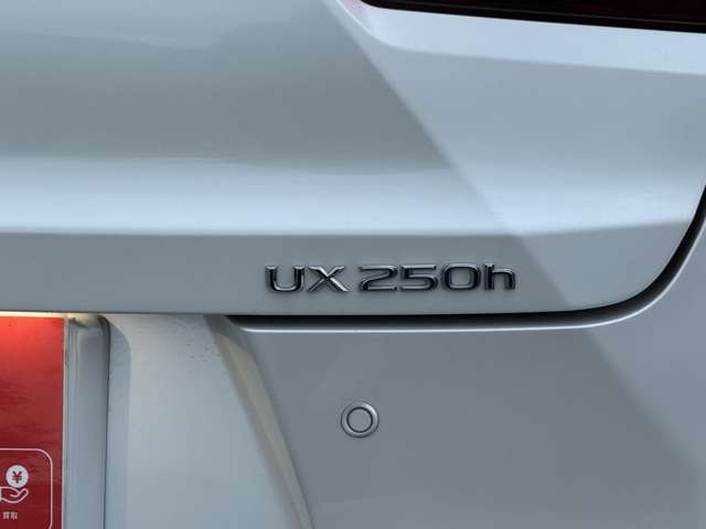 Lexus UX 11