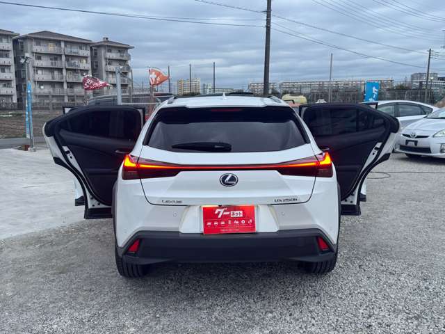 Lexus UX 12