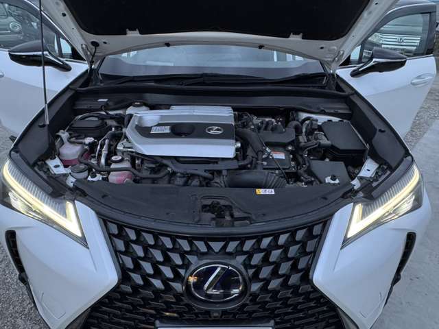 Lexus UX 6
