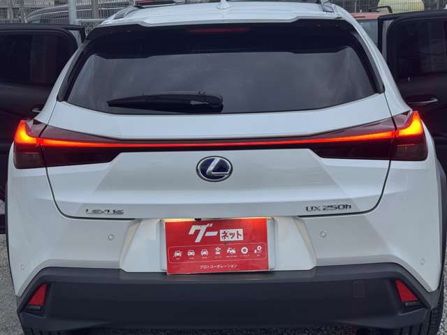 Lexus UX 9