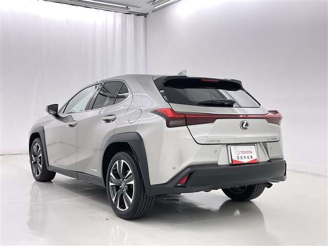 Lexus UX 6