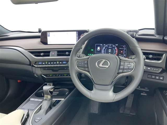 Lexus UX 9