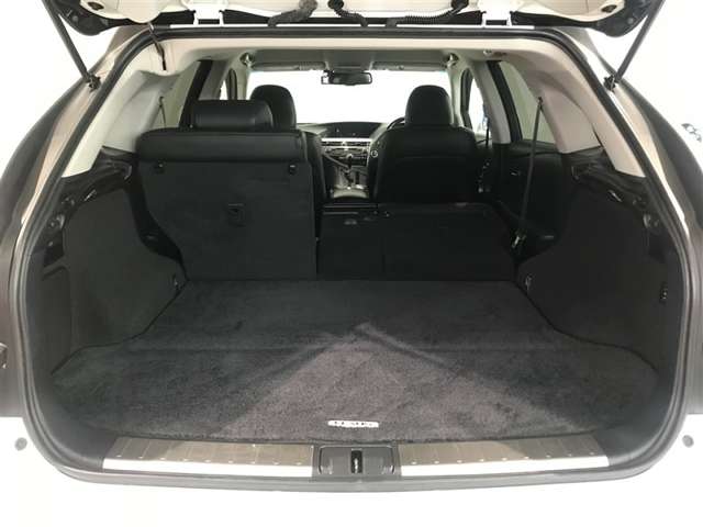 Lexus RX Hybrid 11