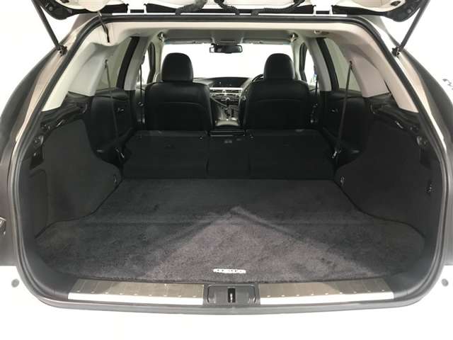 Lexus RX Hybrid 12