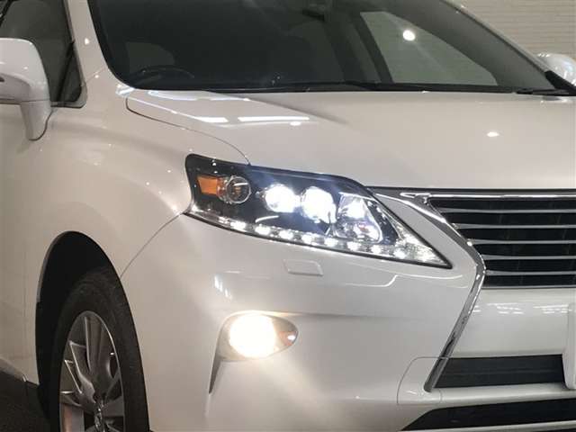 Lexus RX Hybrid 5