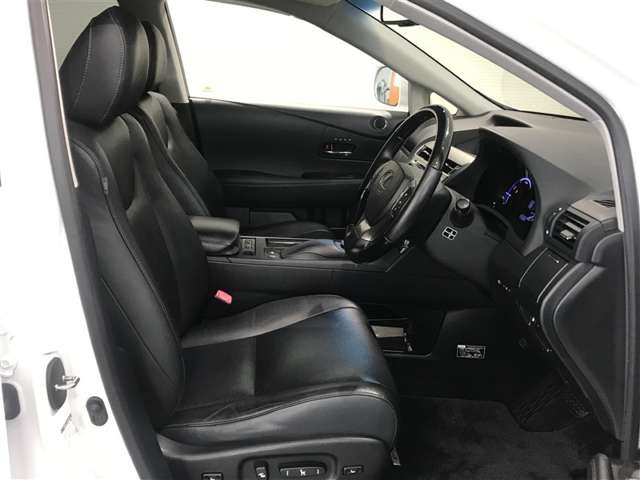 Lexus RX Hybrid 6