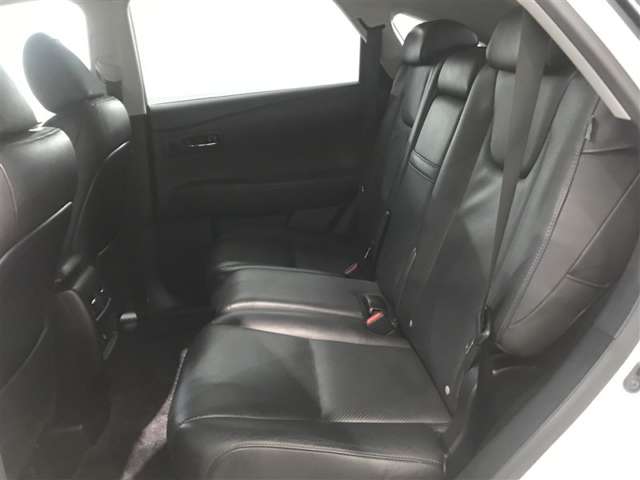 Lexus RX Hybrid 8