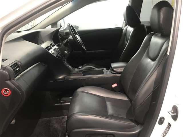 Lexus RX Hybrid 9