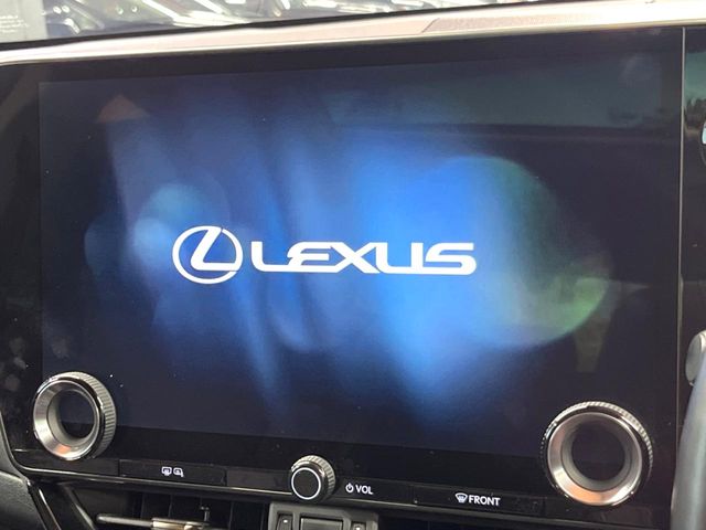 Lexus NX 4