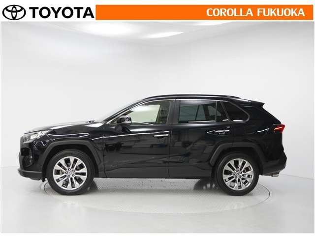 Toyota RAV4 6